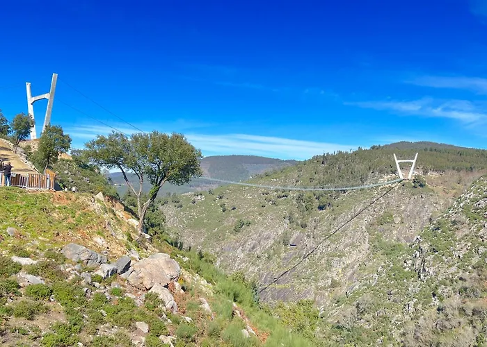 Quinta Da Felicidade * Varzea (Aveiro)